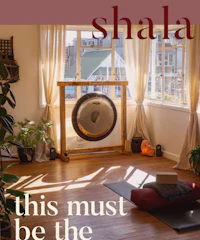 shala this must be the place