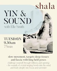 a flyer for yin & sound with elle smith